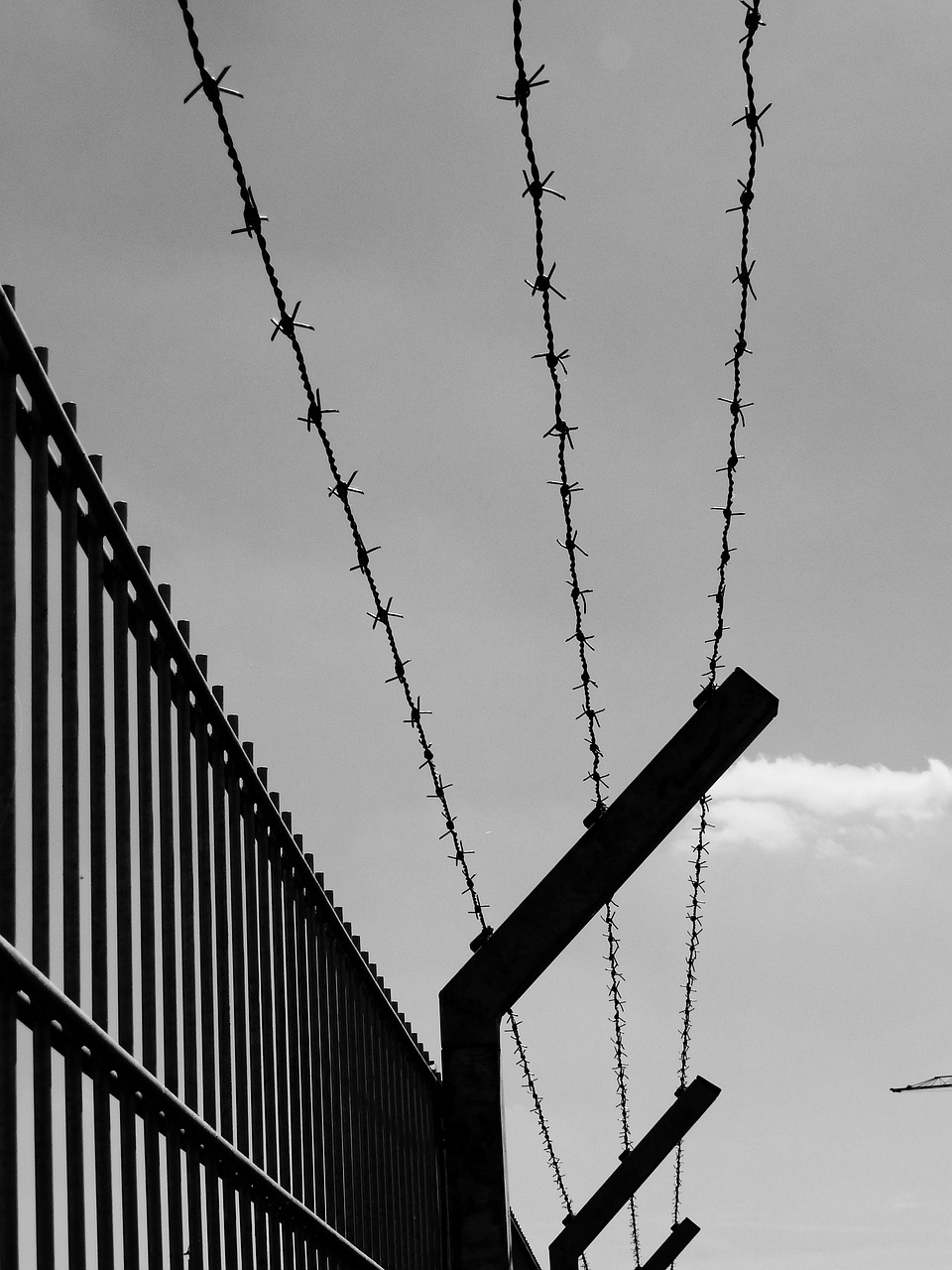 What happened to the other refugees?