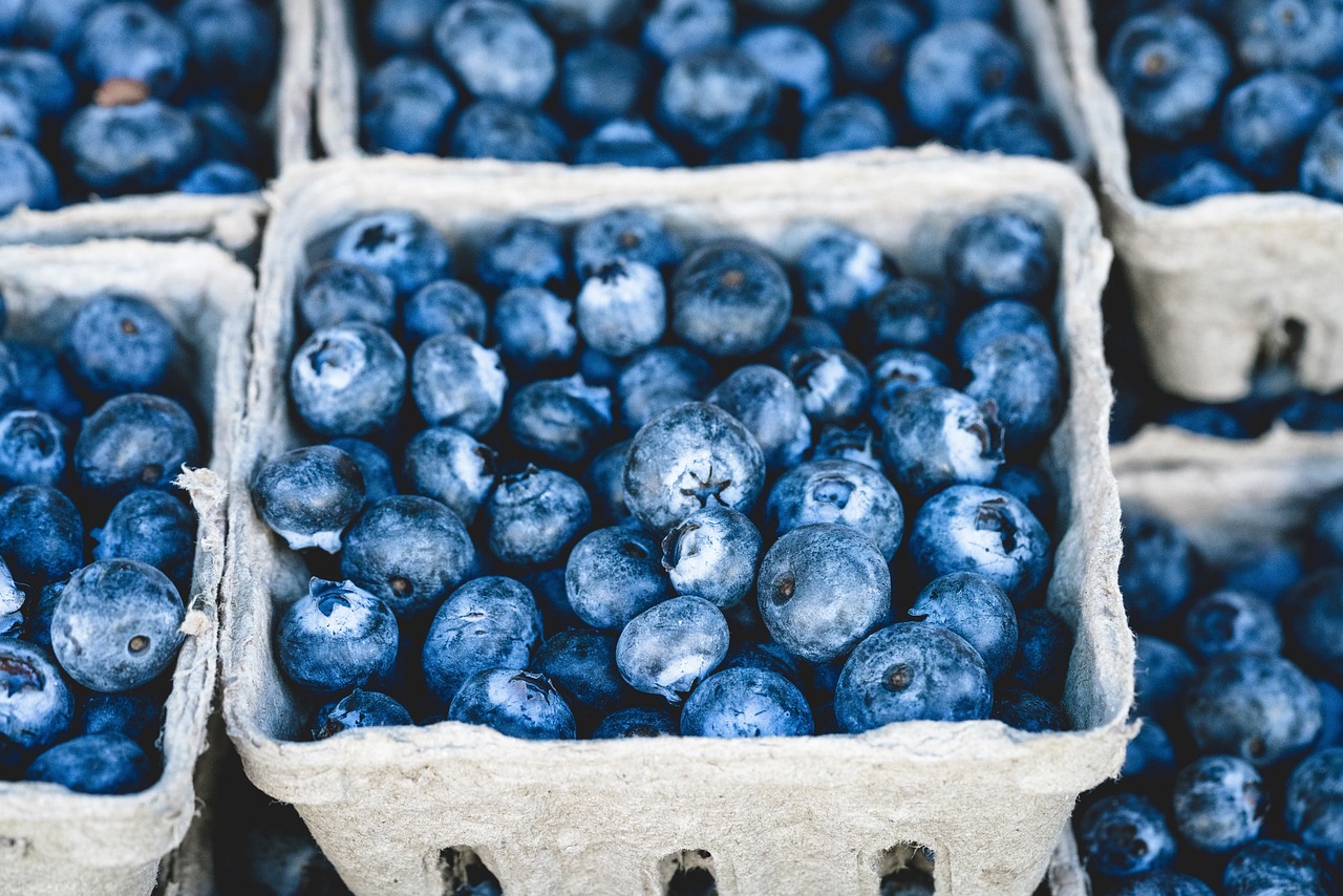 The Exploitive Mobility Regime of the EU: who is Picking up your Fruit and Vegetables?