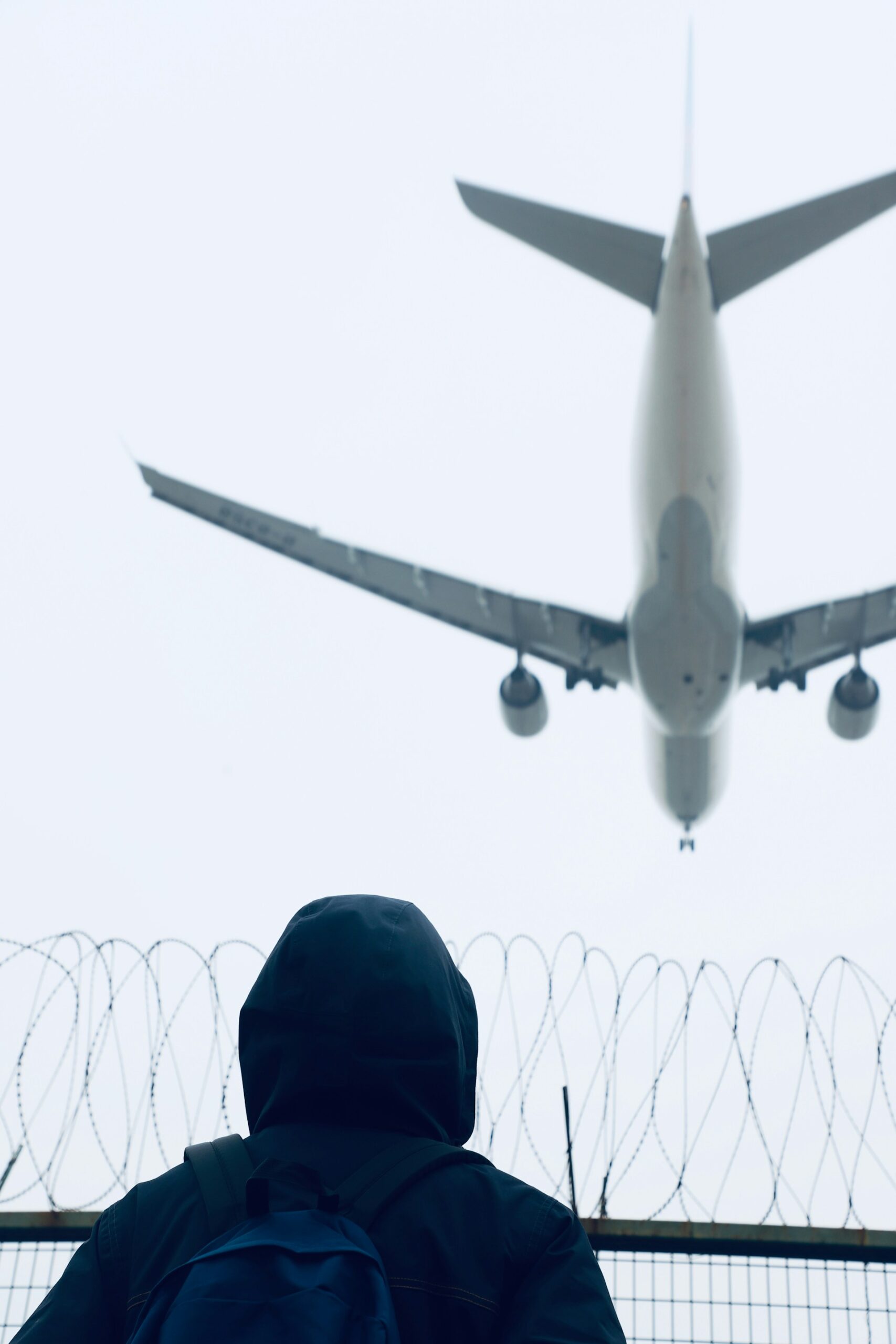 While I Fly, She Walks